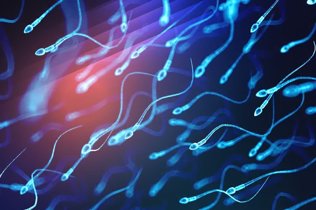 surgical sperm retlieval