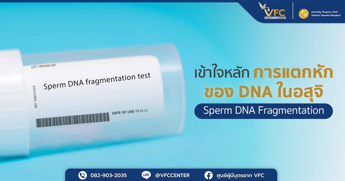 ถ้วยสำหรับตรวจวิเคราะห์การแตกหักของ DNA ในอสุจิ