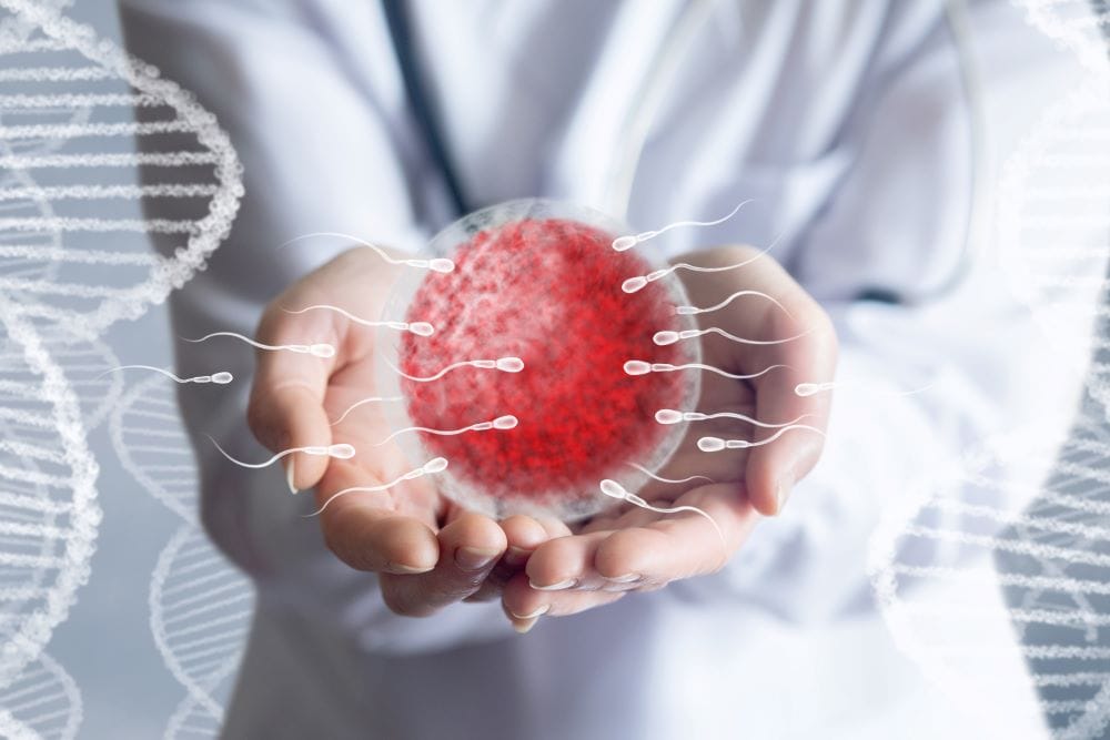 แพทย์สาธิตเรื่องการมีบุตรสำหรับผู้ที่เคยมีภาวะการแตกหักของ DNA ในอสุจิ