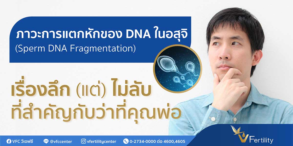 การแตกหักของ DNA ในอสุจิ