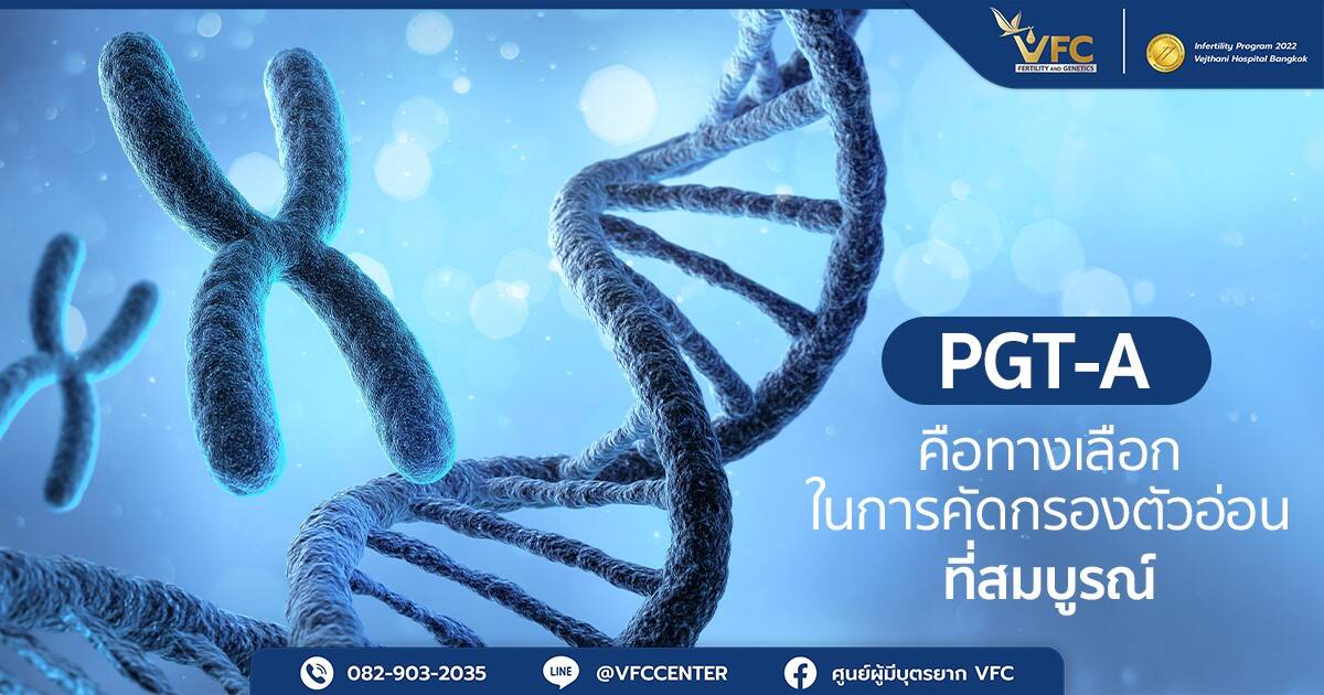 ประโยชน์ของการตรวจโครโมโซมตัวอ่อน PGT-A ที่ส่งผลต่อการตั้งครรภ์