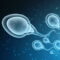 Vejthani Hospital can provide sperm retrieval procedures for your IVF treatment.