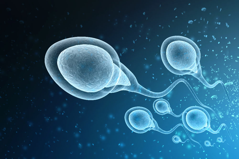 Vejthani Hospital can provide sperm retrieval procedures for your IVF treatment.