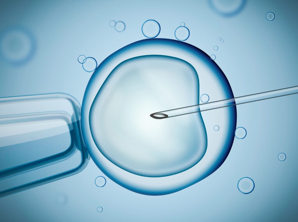 Embryos can be carefully selected using an embryoscope