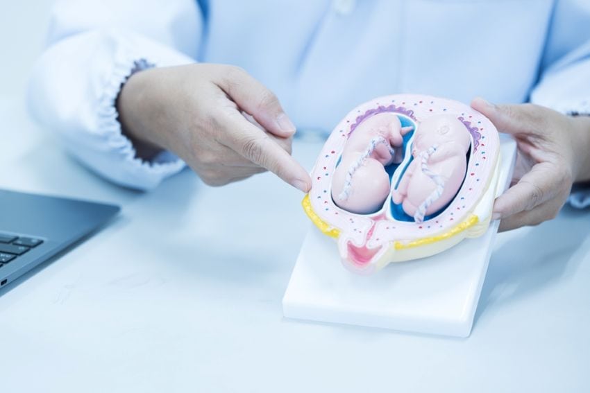 สูตินรีแพทย์อธิบายว่าอยากได้ลูกแฝดต้องทำอย่างไร