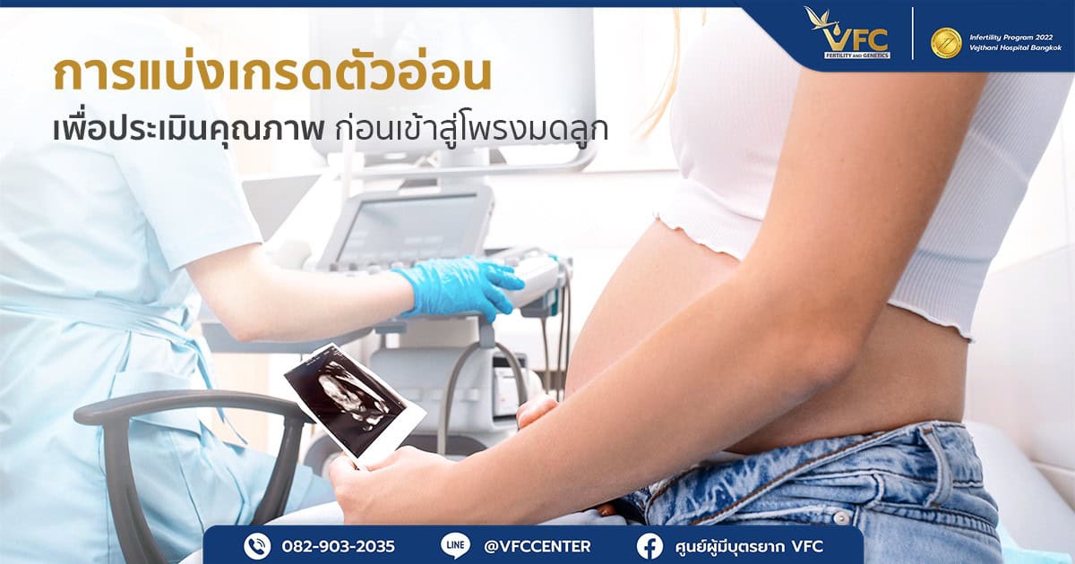ผู้หญิงตั้งครรภ์จากการแบ่งเกรดตัวอ่อน