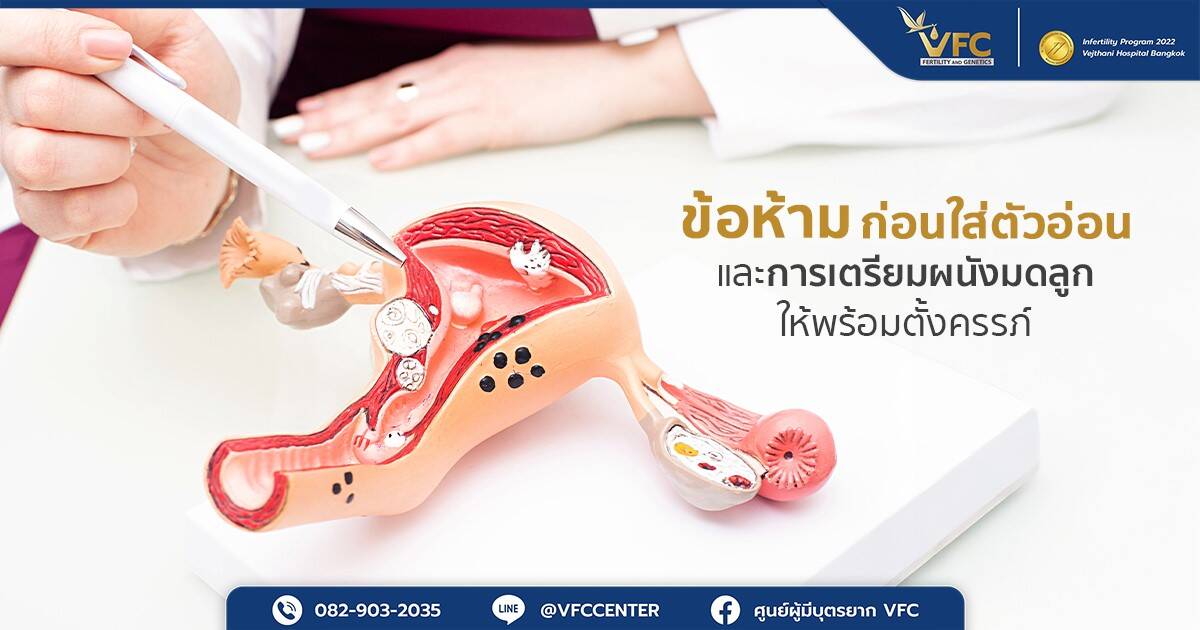 แพทย์ใช้แบบจำลองอธิบายว่าการเตรียมผนังมดลูกใช้เวลากี่วัน
