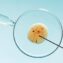 An IVF program can rely on successful sperm retrieval.