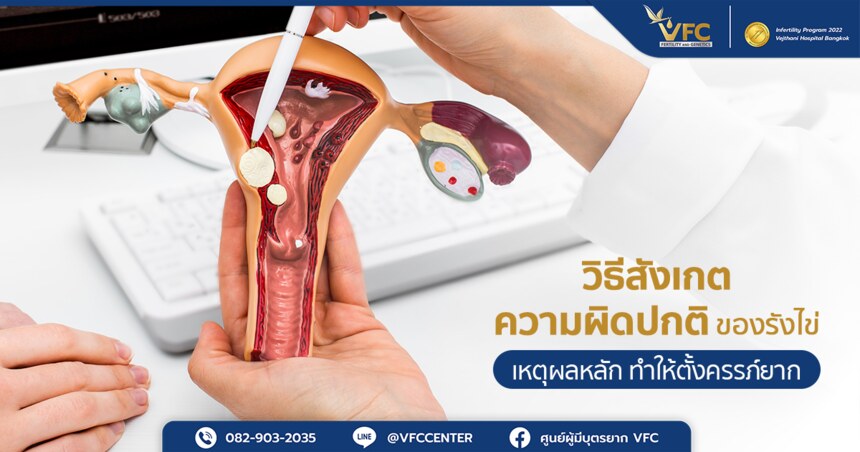 แพทย์กำลังอธิบายให้คนไข้ฟังว่ารังไข่มีหน้าที่อะไรบ้าง