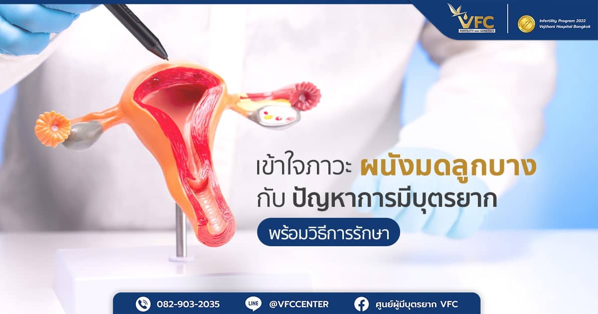 แพทย์ชี้ที่โมเดลเพื่ออธิบายเกี่ยวกับภาวะผนังมดลูกบาง