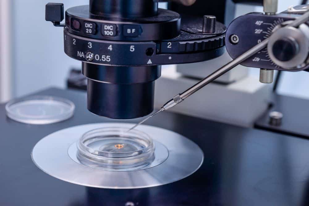 A lab test specimen under a microscope