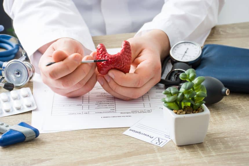 A doctor explaining the function of the thyroid gland