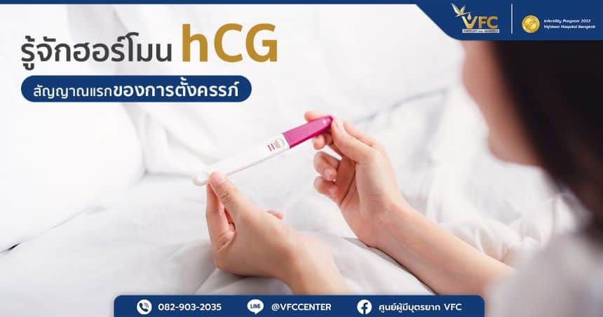 ฮอร์โมน hCG คืออะไร ทำไมจึงสำคัญกับการตั้งครรภ์