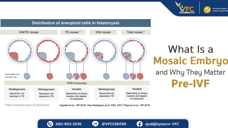 Difference between normal and mosaic embryo