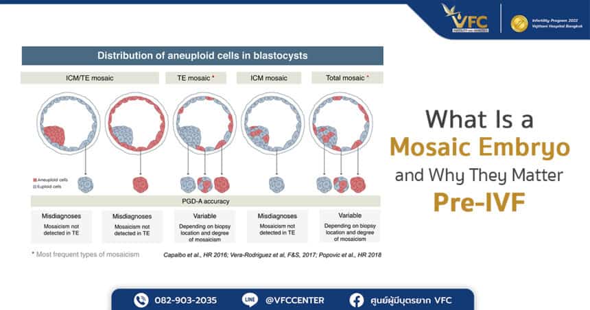Difference between normal and mosaic embryo