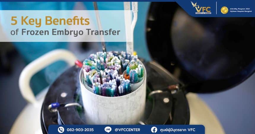 Vitrification Process for Frozen Embryo Transfer