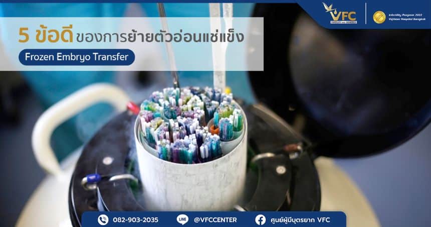 การแช่แข็งตัวอ่อนด้วยวิธีผลึกแก้วเพื่อรอย้ายตัวอ่อนแบบ Frozen Embryo Transfer
