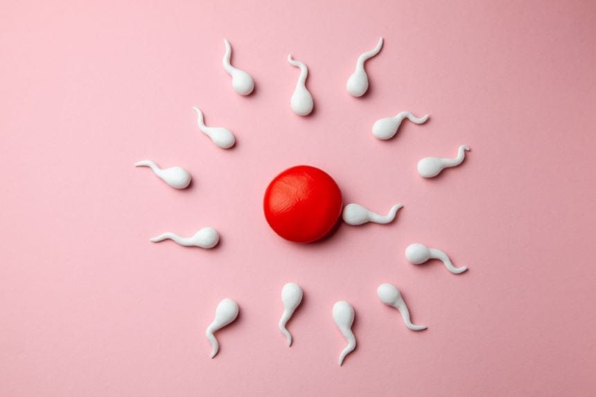 Taking CoQ10 for its benefits before sperm retrieval surgery