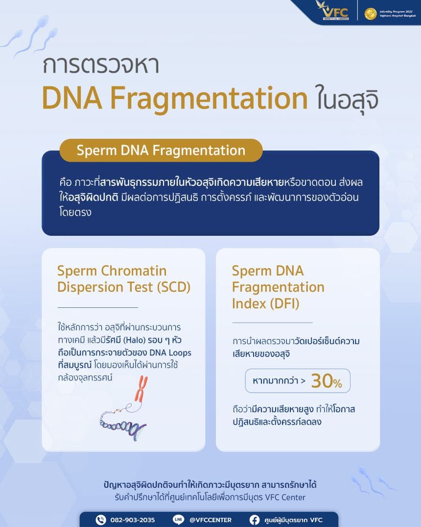 ความหมายและวิธีการตรวจหา DNA Fragmentation ในอสุจิ