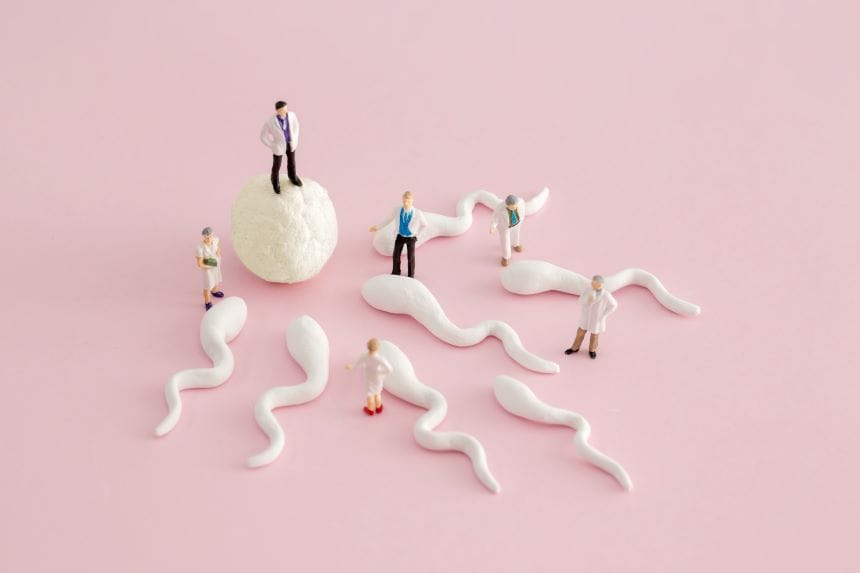 A simulation of the IUI, IVF, or ICSI process before marriage registration