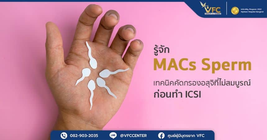 เหตุผลที่ MACs Sperm ไม่สามารถคัดกรองอสุจิที่เสียหายได้บางกรณี