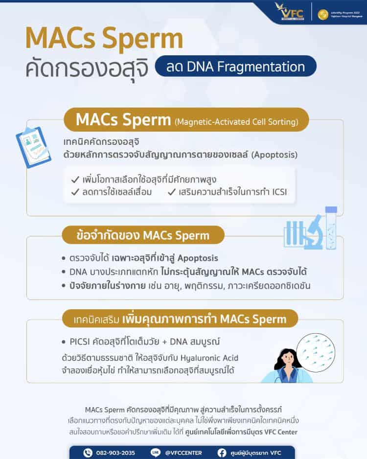MACs Sperm เทคนิคคัดกรองอสุจิ ค้นหา DNA Fragmentation