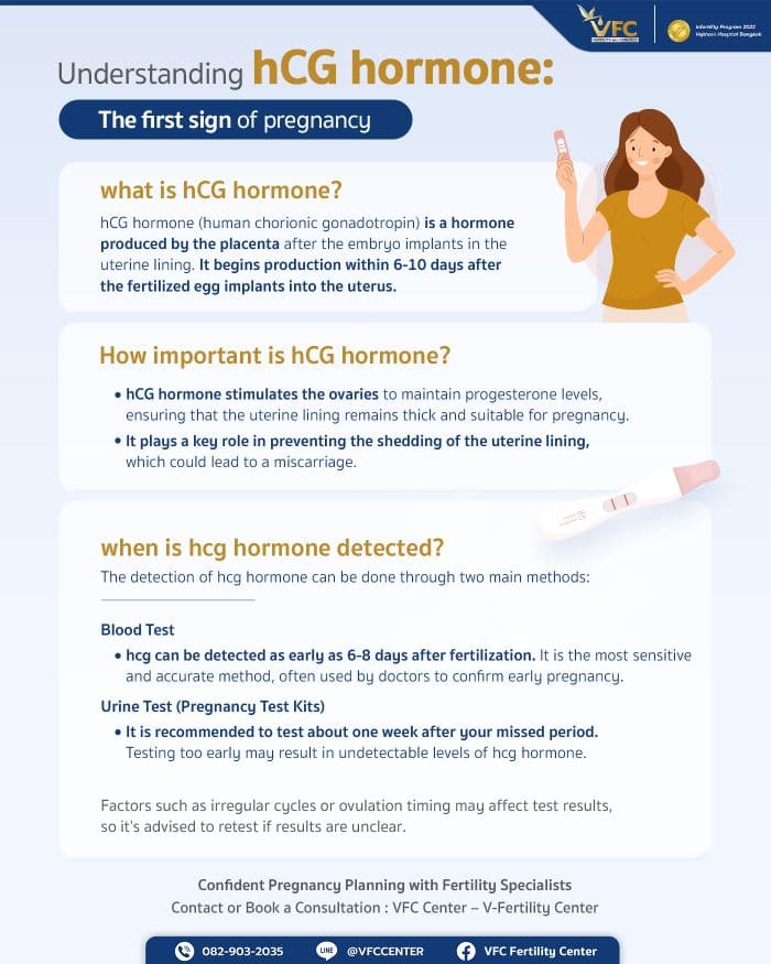 what does hcg hormone do