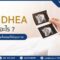 ฮอร์โมน DHEA คือฮอร์โมนสำคัญที่ช่วยเพิ่มโอกาสในการตั้งครรภ์