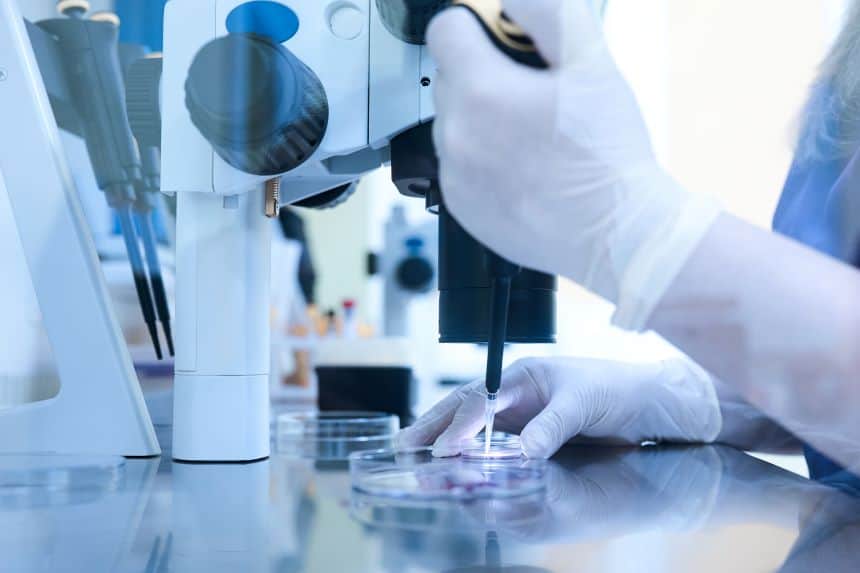 การเพาะเลี้ยงและการดูแลตัวอ่อน สำหรับการทำเด็กหลอดแก้ว IVF