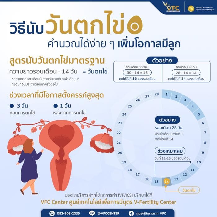 สูตรนับวันไข่ตกแบบง่าย ๆ และช่วงที่มีโอกาสตั้งครรภ์สูงสุด