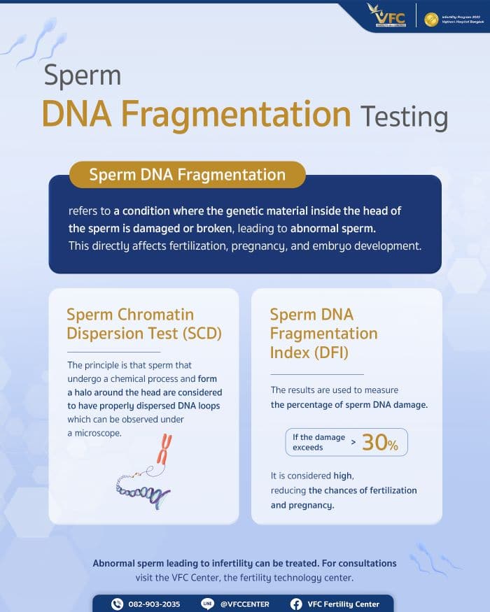 Meaning and methods of detecting DNA fragmentation in sperm