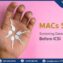 Why MACs Sperm Cannot Screen for Some Cases of Damaged Sperm