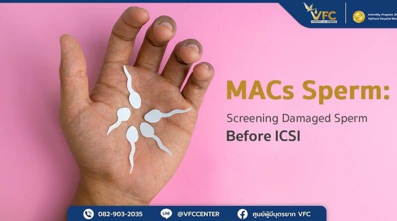 Why MACs Sperm Cannot Screen for Some Cases of Damaged Sperm