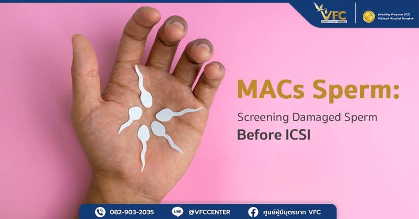 Why MACs Sperm Cannot Screen for Some Cases of Damaged Sperm