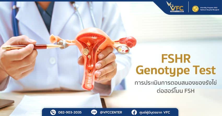 สูตินรีแพทย์ใช้โมเดลรังไข่อธิบายความสำคัญของการตรวจ FSHR Genotype Test