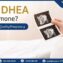 DHEA hormone plays a key role in increasing chances of pregnancy