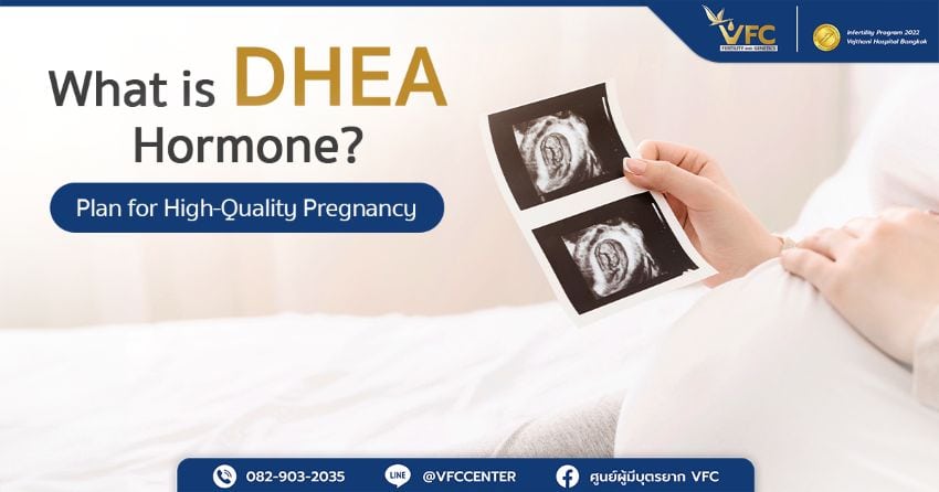 DHEA hormone plays a key role in increasing chances of pregnancy