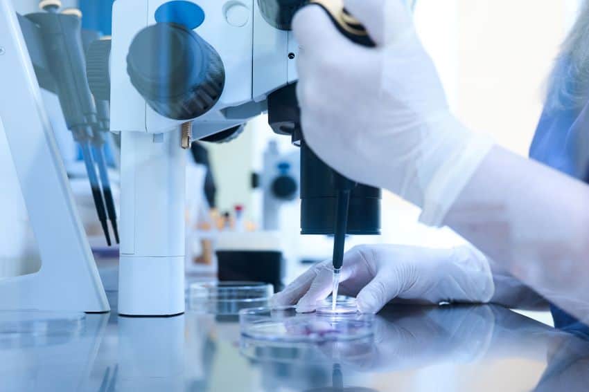 Embryo culture and care for IVF treatment.