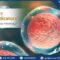 Healthy egg cell with optimal egg quality, ready for fertilization