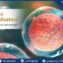 Healthy egg cell with optimal egg quality, ready for fertilization