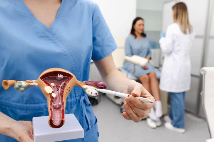 Doctor using an ovary model to explain egg quality and impact of small eggs