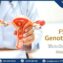 สูตินรีแพทย์ใช้โมเดลรังไข่อธิบายความสำคัญของการตรวจ FSHR Genotype Test