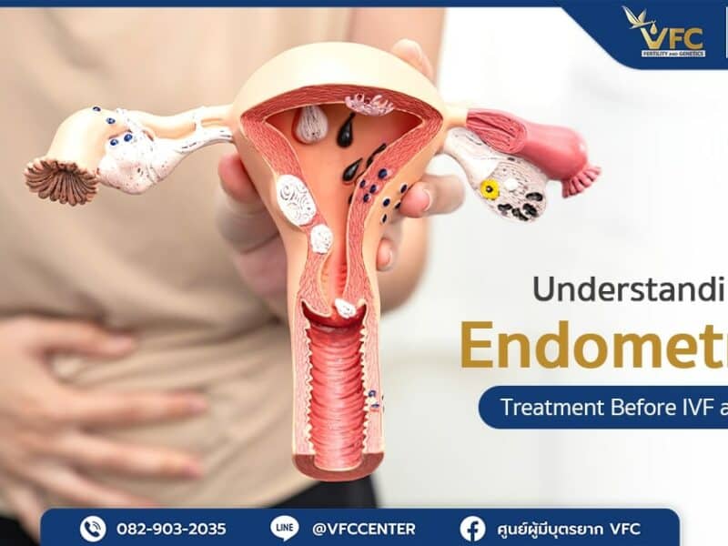 Endometritis is a condition that often results from an infection in the vagina.