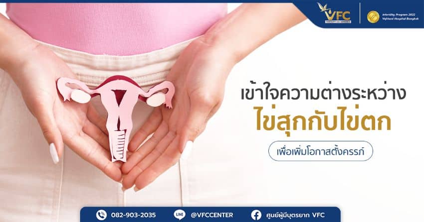 ช่วงไข่สุกกับไข่ตก แตกต่างกันอย่างไร ช่วงไหนมีโอกาสตั้งครรภ์สูงกว่า