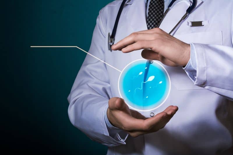 Cryptorchidism can affect sperm quality