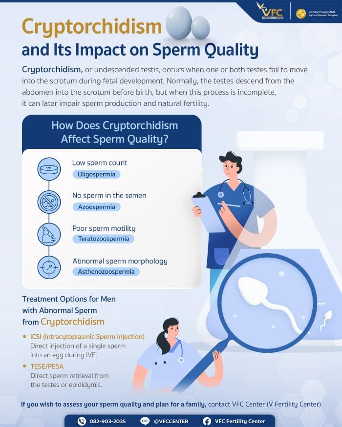 Information about cryptorchidism and its impact on pregnancy