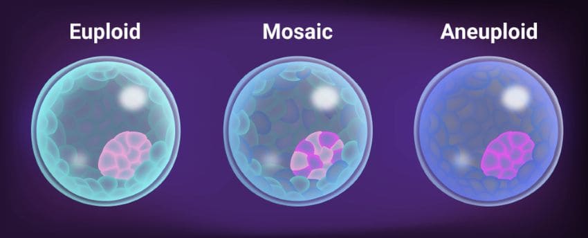 การตรวจ SNP-based PGT-A ช่วยให้ตรวจพบระดับความผิดปกติของตัวอ่อนอย่างแม่นยำ
