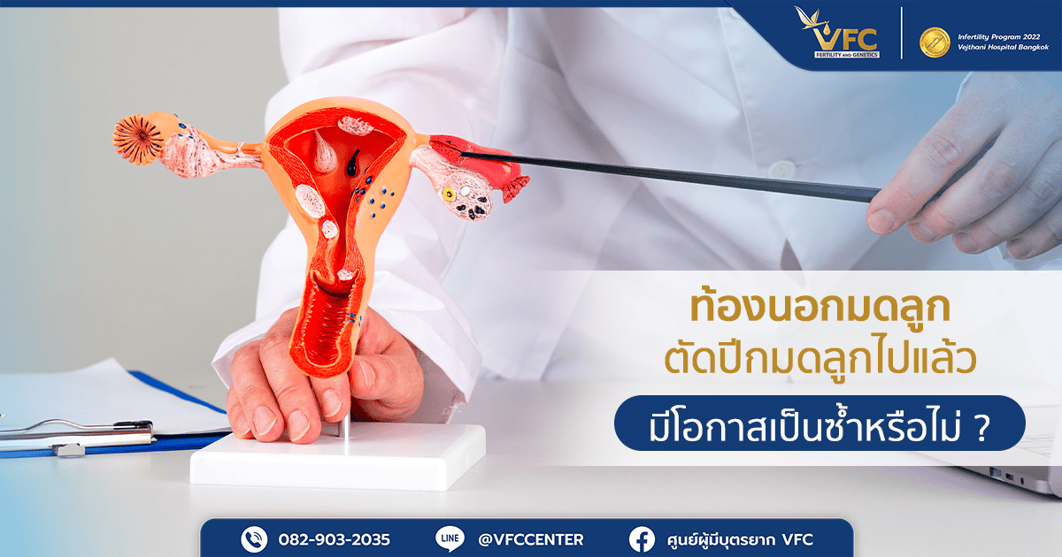 แพทย์ชี้ไปที่ท่อนำไข่ ตำแหน่งที่ตัวอ่อนมักฝังตัวอยู่ในกรณีท้องนอกมดลูก