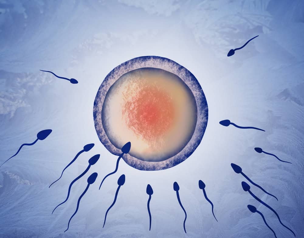 Illustration of healthy ovaries surrounded by sperm, post-egg retrieval symptoms and complications