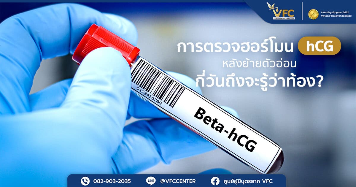 หลอดตัวอย่างเลือดสำหรับการตรวจฮอร์โมน hCG และ Beta-hCG หลังย้ายตัวอ่อน